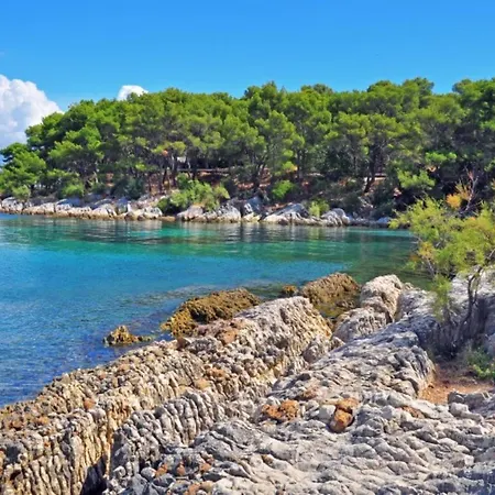 Lille * Makarska
